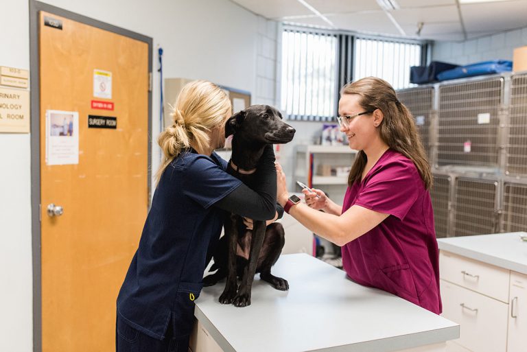 Veterinary Technology - Pierpont Community & Technical College