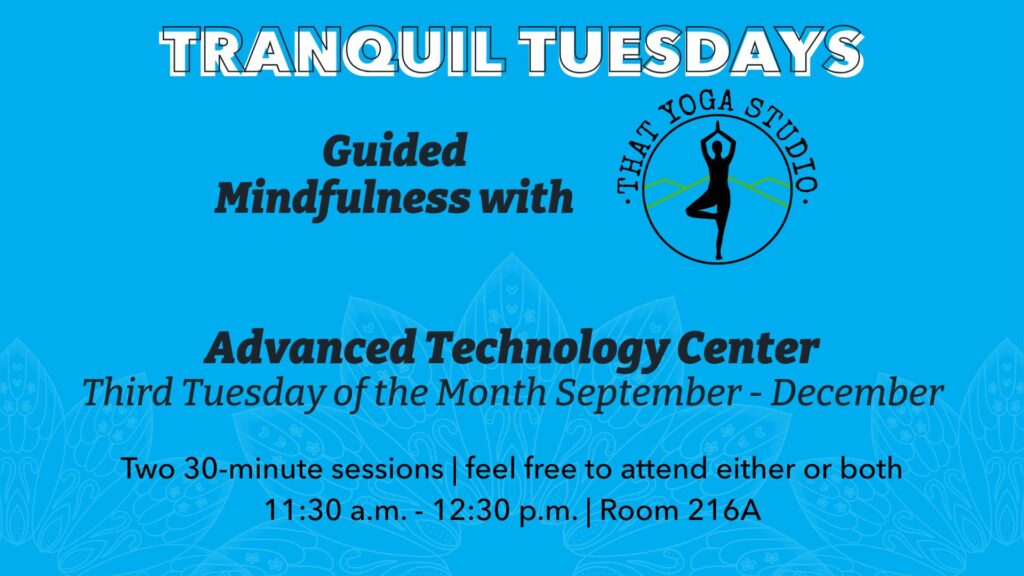 Tranquil Tuesdays: Guided Mindfulness with That Yoga Studio
