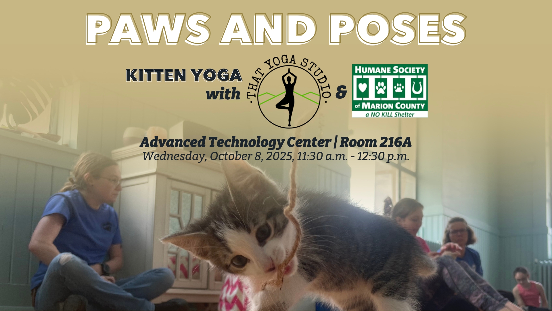Paws and Poses Kitten Yoga with That Yoga Studio and the Humane Society of Marion County