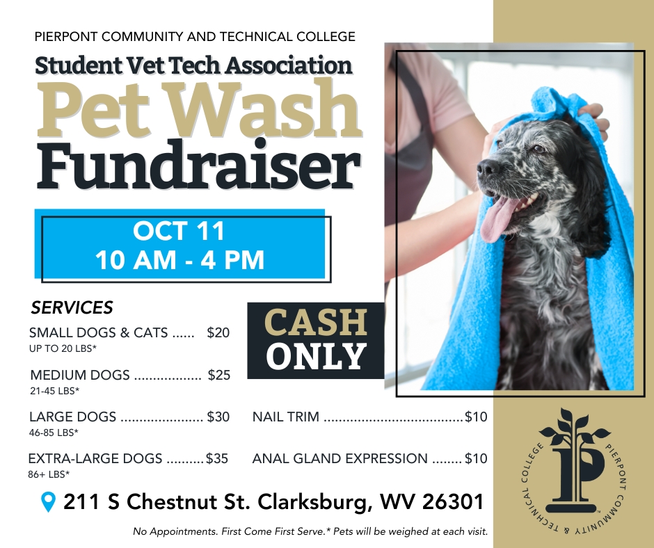 Student Vet Tech Association Pet Wash Fundraiser.